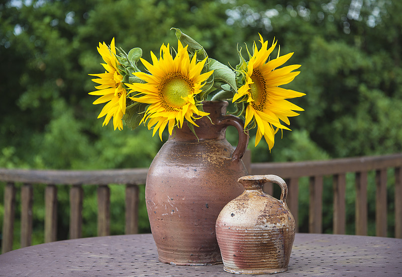 一束盛开的向日葵放在户外金属桌子上的乡村壶里