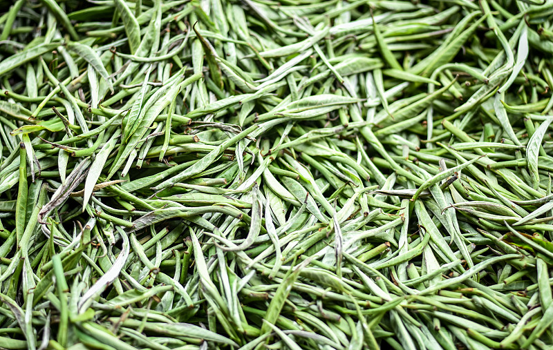 近距离精选优质茶叶，白茶。