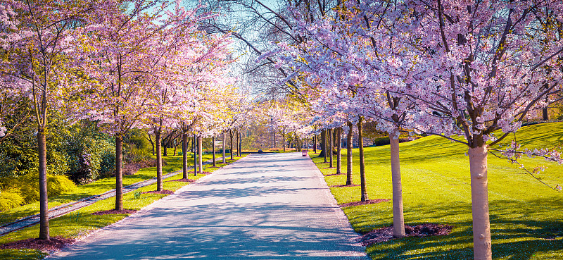 德国美丽的户外风景