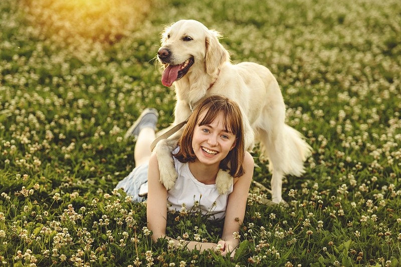 少女在夕阳下抚摸金毛猎犬的肖像