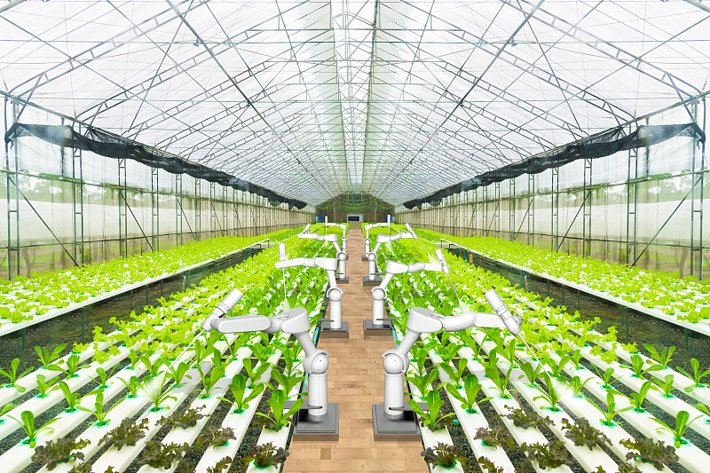 农业机器人喷水或检测水培花园杂草，科技智能农场概念