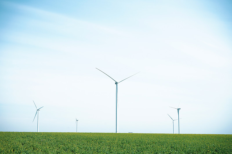绿色草地上的风力涡轮机。美丽的春天绿色植物