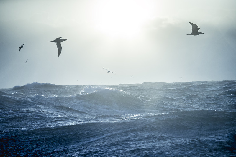 在波涛汹涌的北海