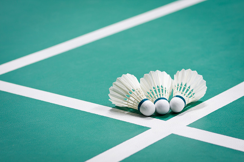 羽毛球