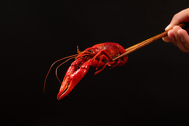 水煮小龙虾特写在黑色的背景