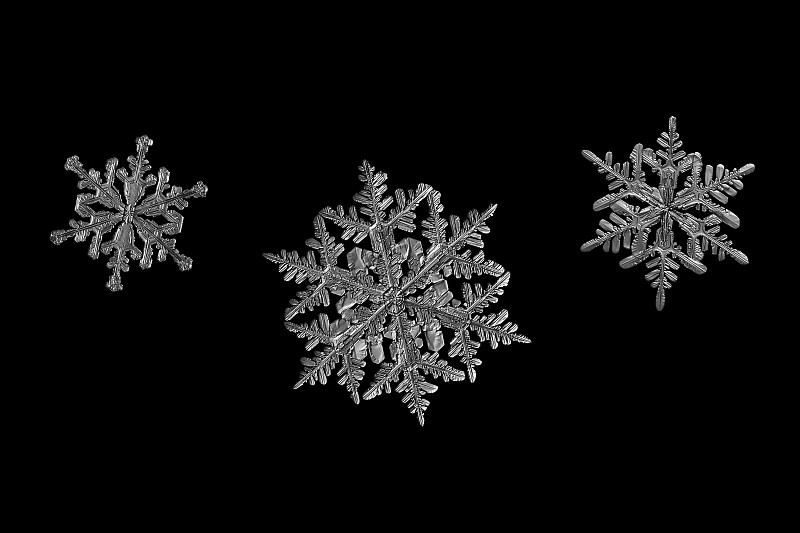 三片雪花孤立在黑色的背景上