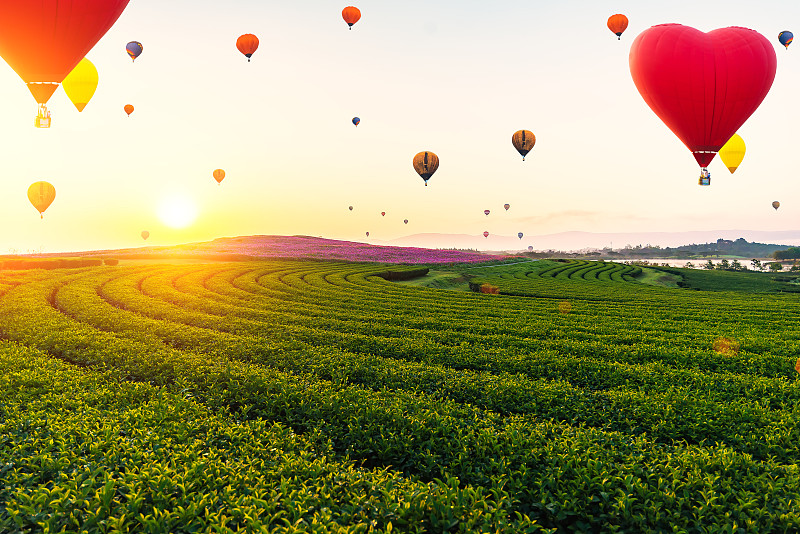 泰国早上的热气球全景图。旅行的概念。