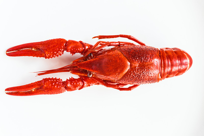 水煮小龙虾即食