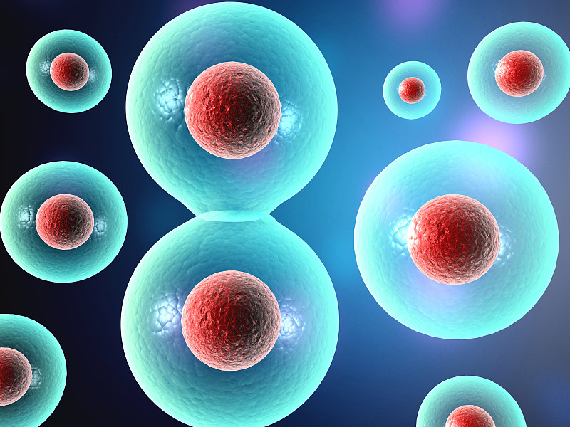 人体细胞的微观视图