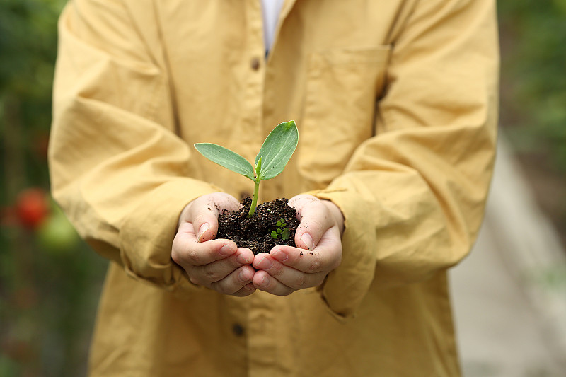 一个亚洲男孩抱着一株小植物