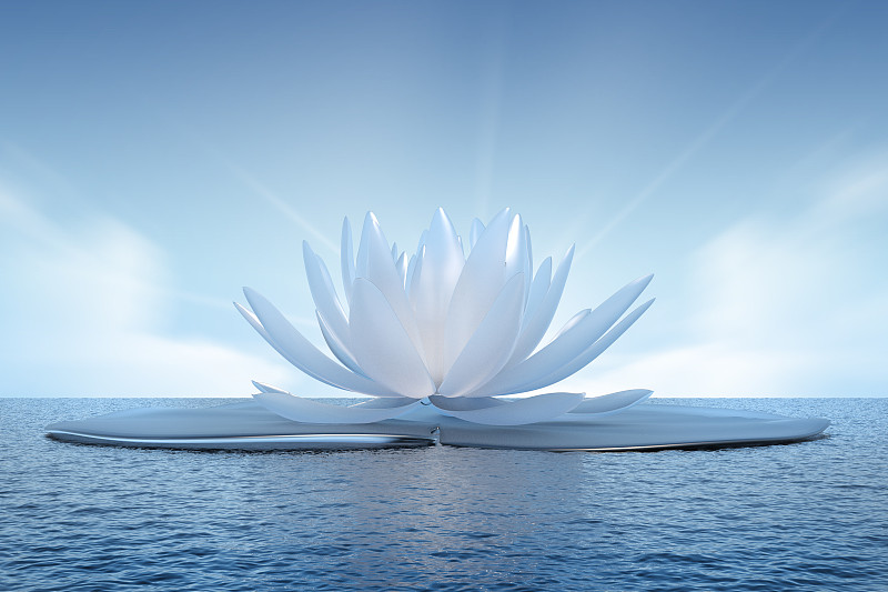海中巨大的半透明睡莲