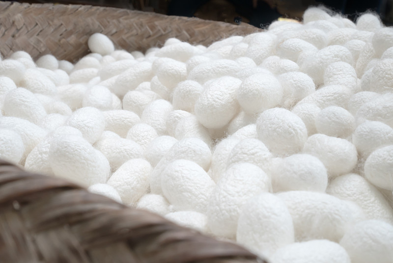 用于纺织业的蚕丝篮