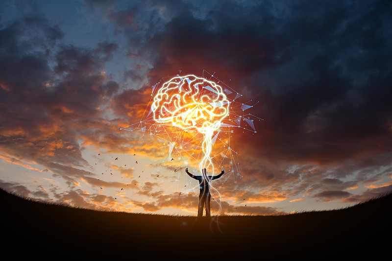 有网络连接的大脑，