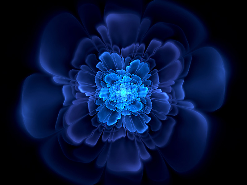 抽象花计算生成黑色背景上的图像