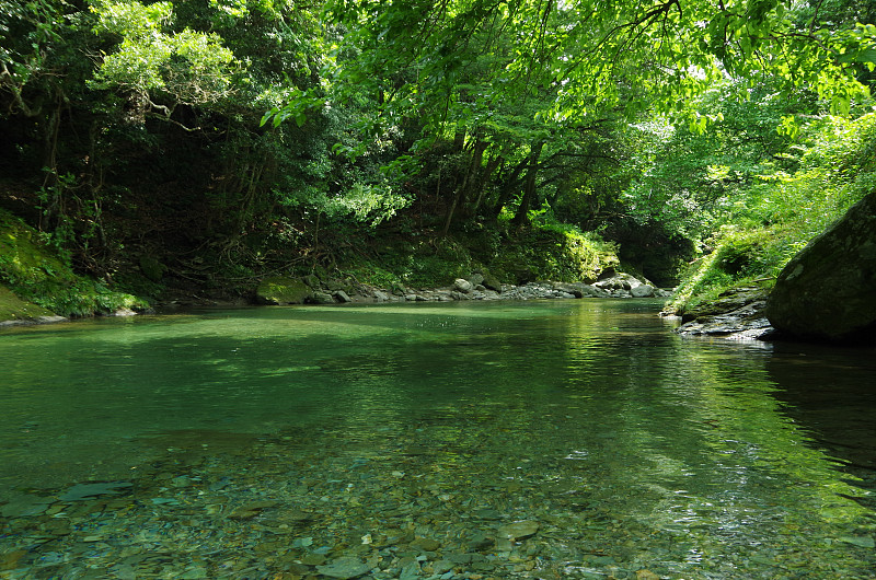 日本四国的绿色自然景观