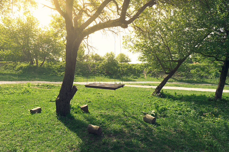 在一个阳光明媚的日子里，在绿色的田野上荡秋千的树。