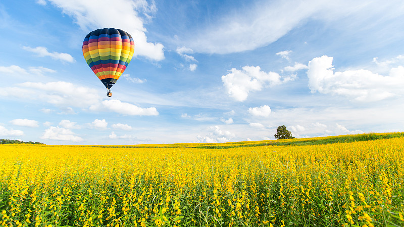 彩色的热气球飞过黄花和天空