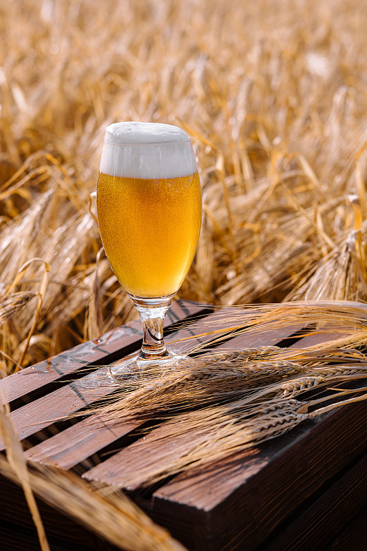 在阳光明媚的麦田木桌上，一杯金黄色的啤酒