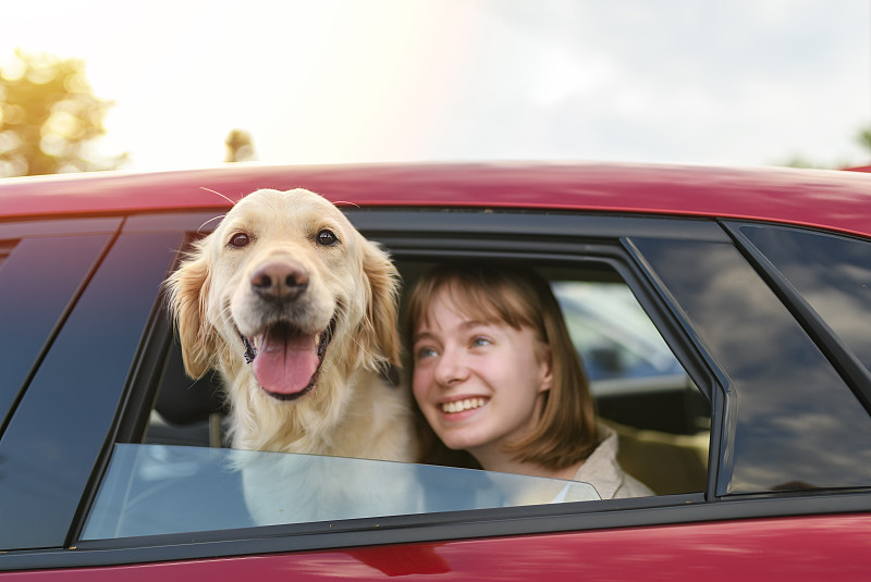 快乐的小女孩和小狗金毛看着打开的车窗