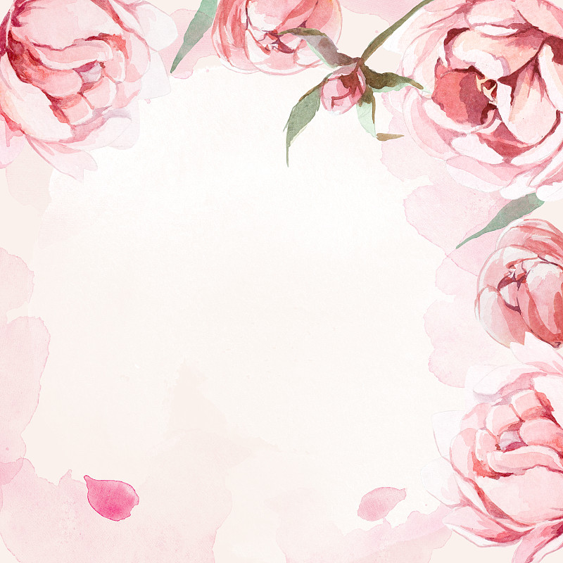 水彩粉色，玫瑰，红色牡丹和玫瑰背景的叶子图案