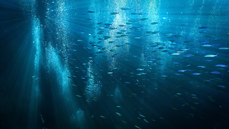 水下宇宙与景观