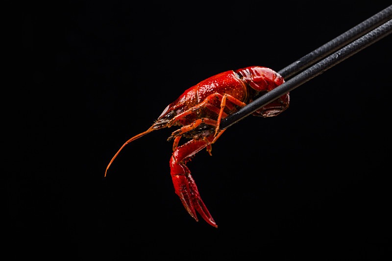 麻辣小龙虾小龙虾食物中餐甲壳纲红色小龙虾