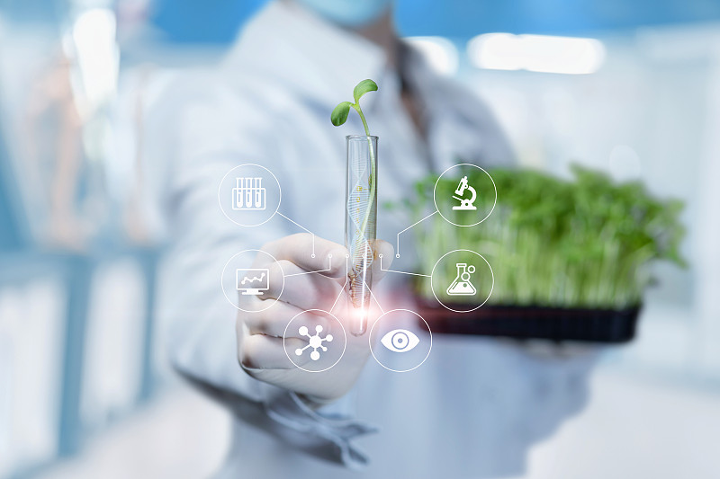 用样本进行生物学实验的概念。