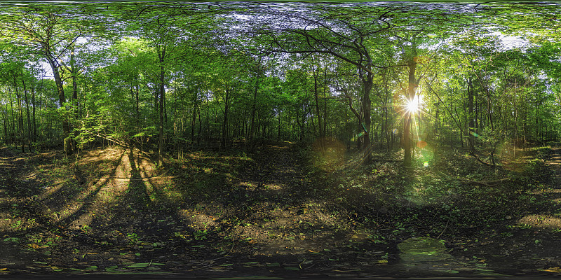 夏末午后公园(360度HDRi全景)