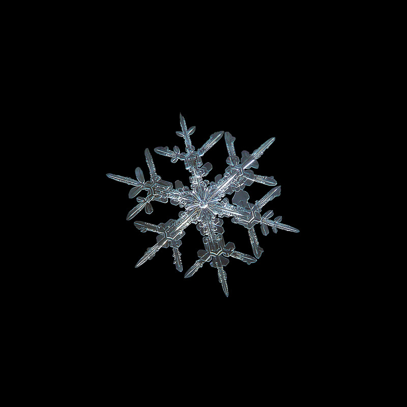 雪花孤立在黑色背景上