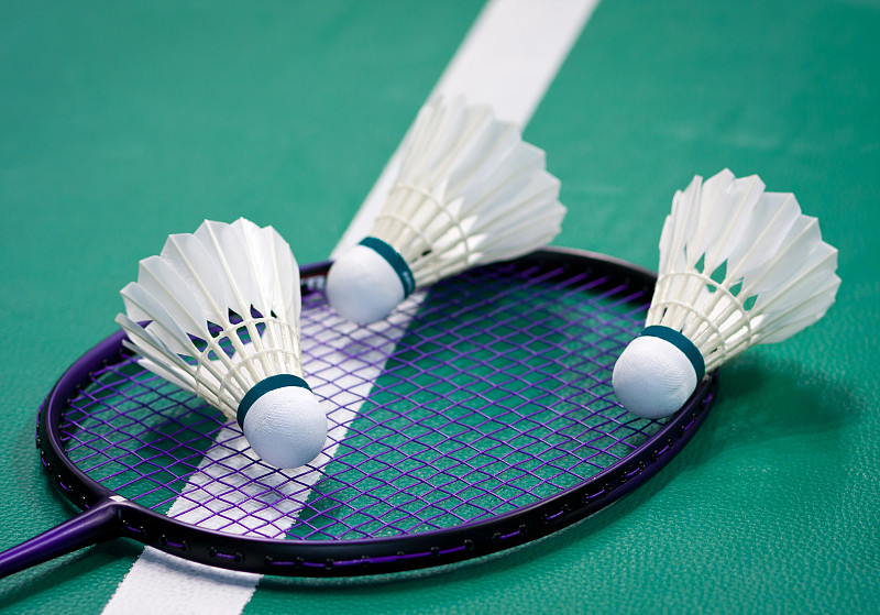 羽毛球和球拍