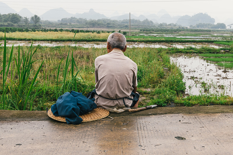 坐在稻田里的中国老农