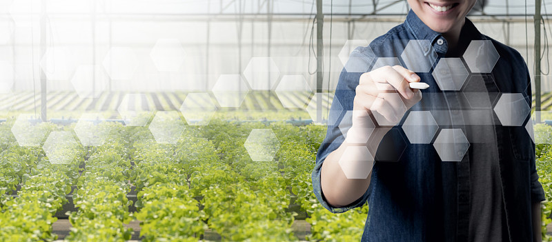 人，农场，未来背景。智能农民物联网智能农业人工智能技术监控系统种植植物，自动化传感器机器人智能农业产业未来物联网技术。