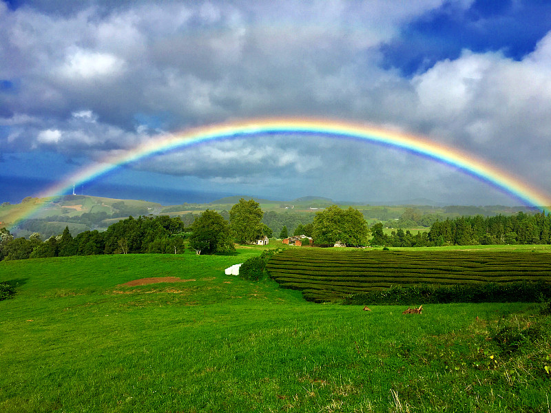 Gorreana茶园和Rainbow