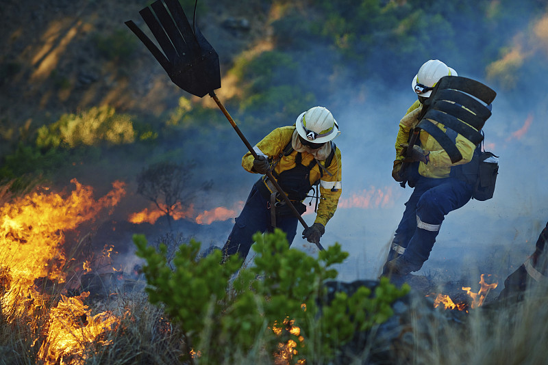 勇敢不是可选的