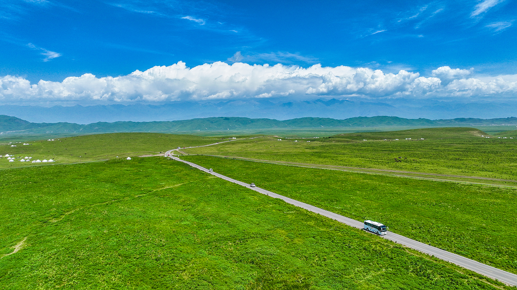 新疆绿色草原风光