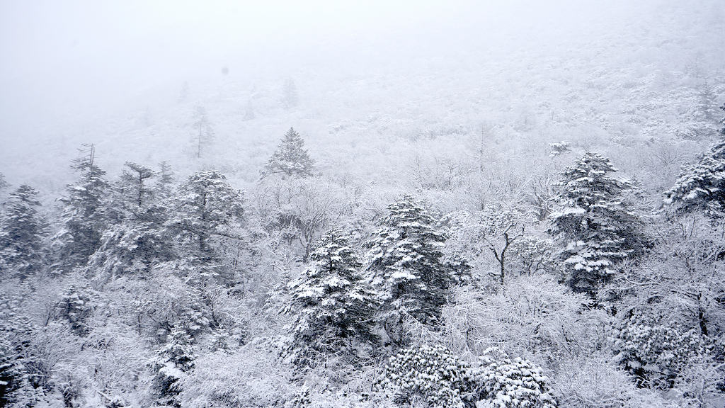 大山里的雪景