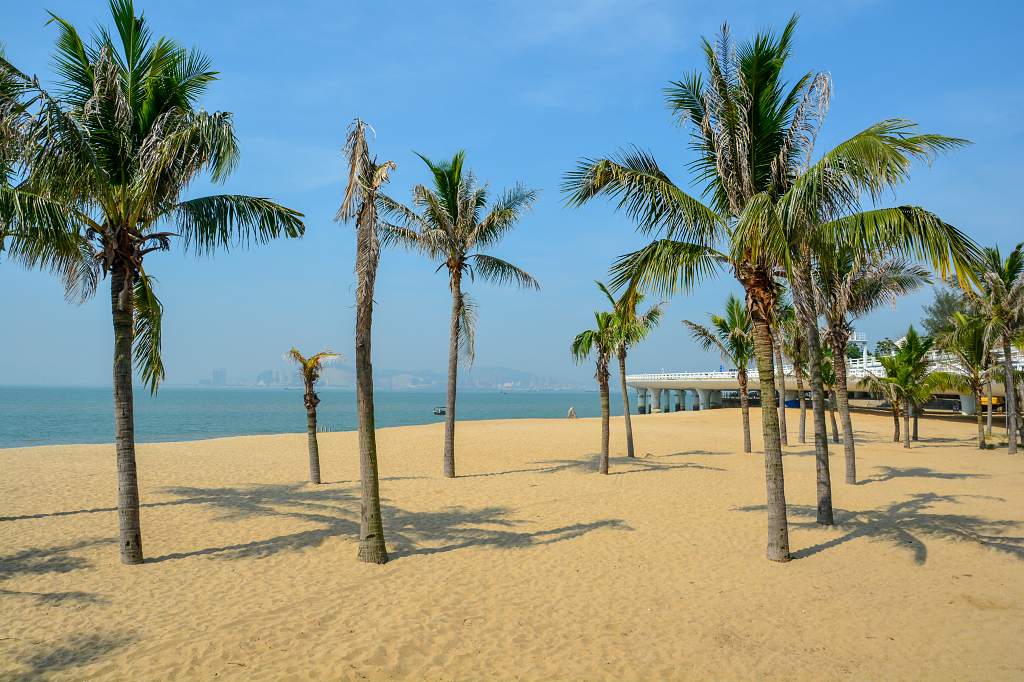 厦门海滩风景