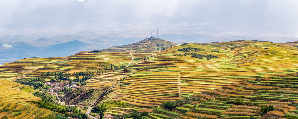 二十四节气芒种背景图芒种节芒种梯田青海大通县梯田