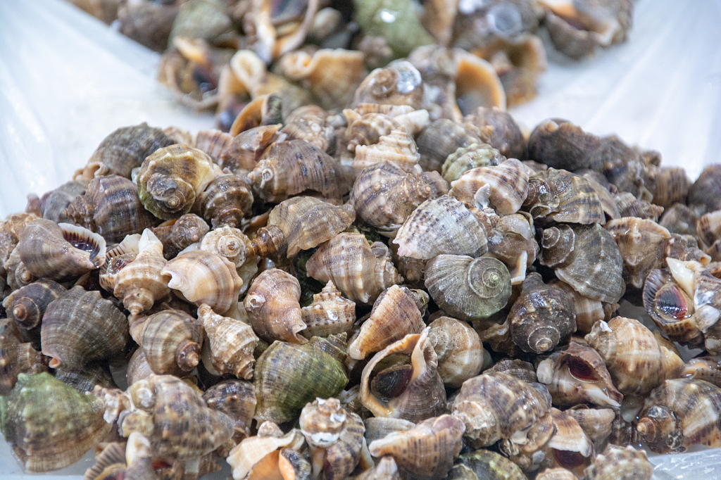 水产市场中的红里螺海螺