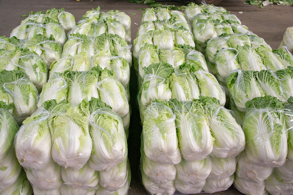 蔬菜批发市场中的大白菜