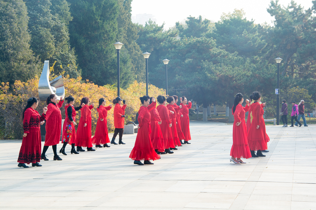 公园中正在排练舞蹈的老年人