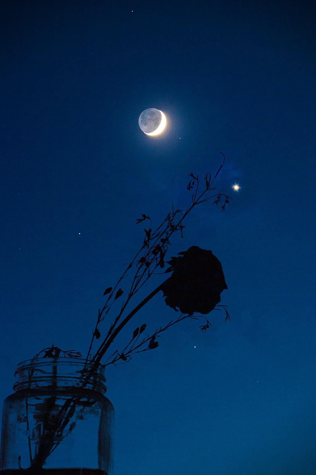 可做手机桌面的月光下的花瓶