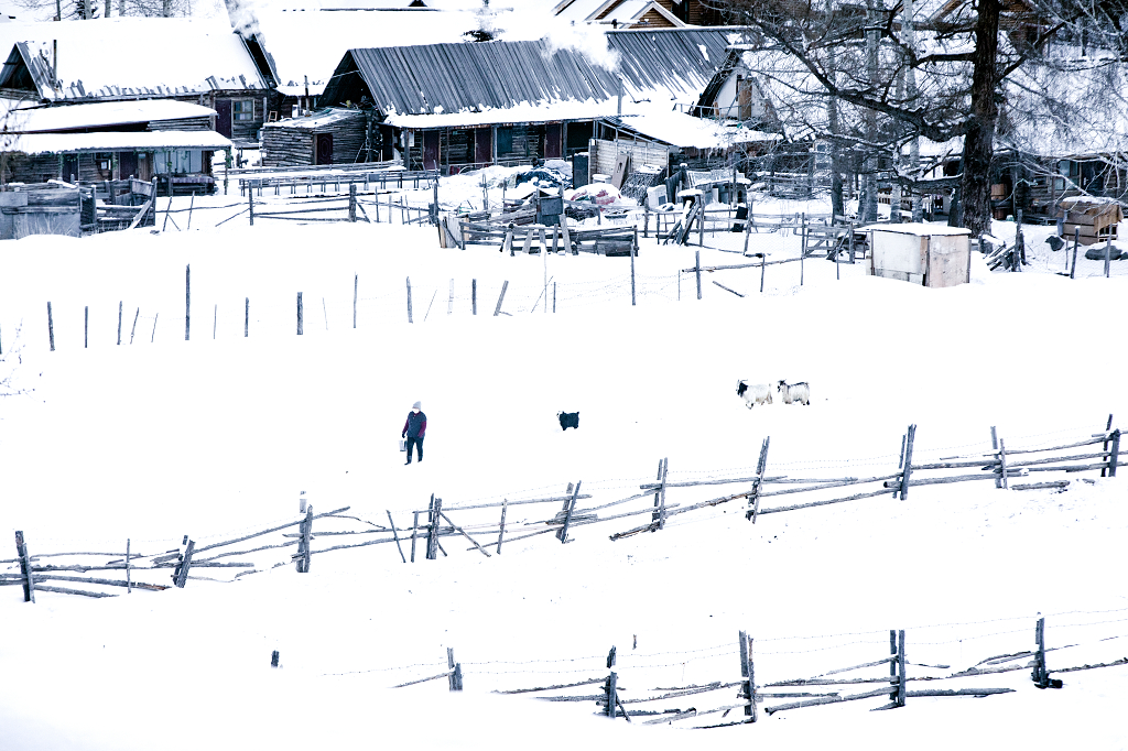 新疆白哈巴早晨村民