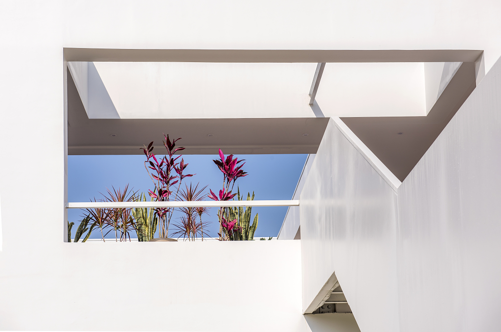 阳台上盛开的花朵