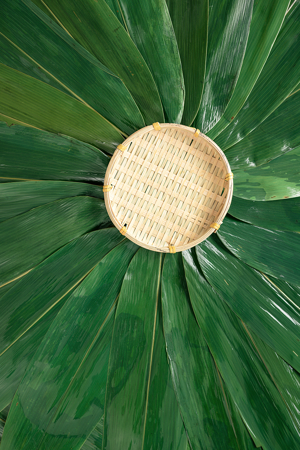 端午节粽子叶竹盘图片端午节图片粽子静物五月初五粽子创意