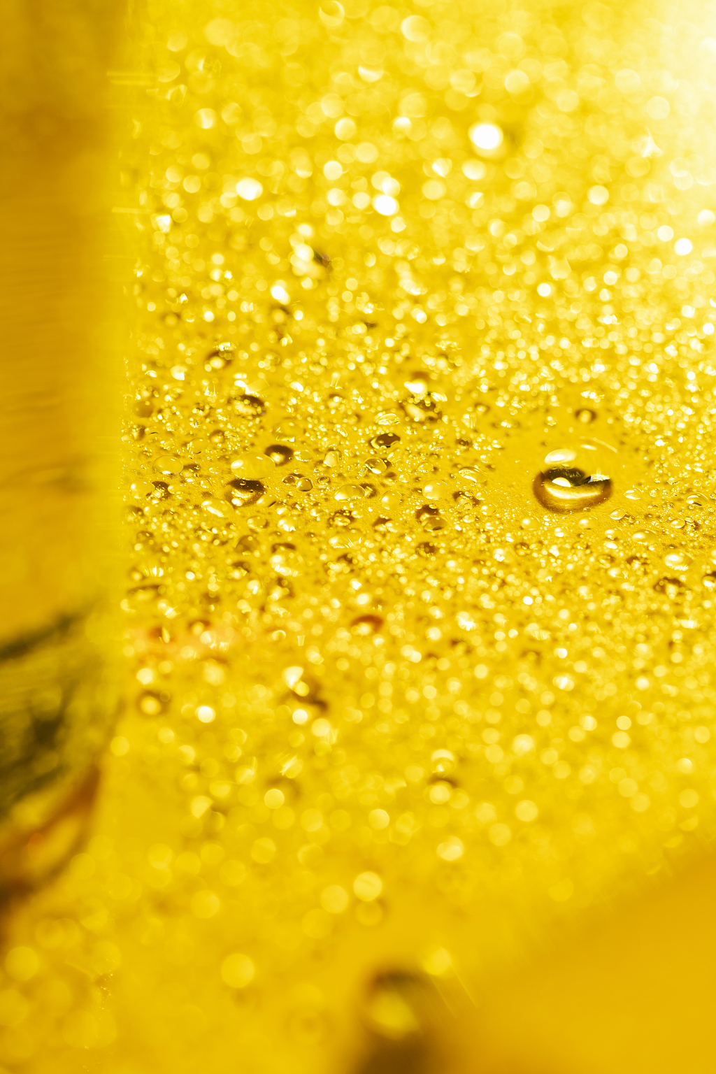 金色水珠明亮光斑背景创意背景科技背景梦幻背景