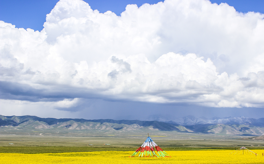 青海湖夏日风景
