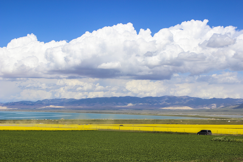 青海湖夏日风景