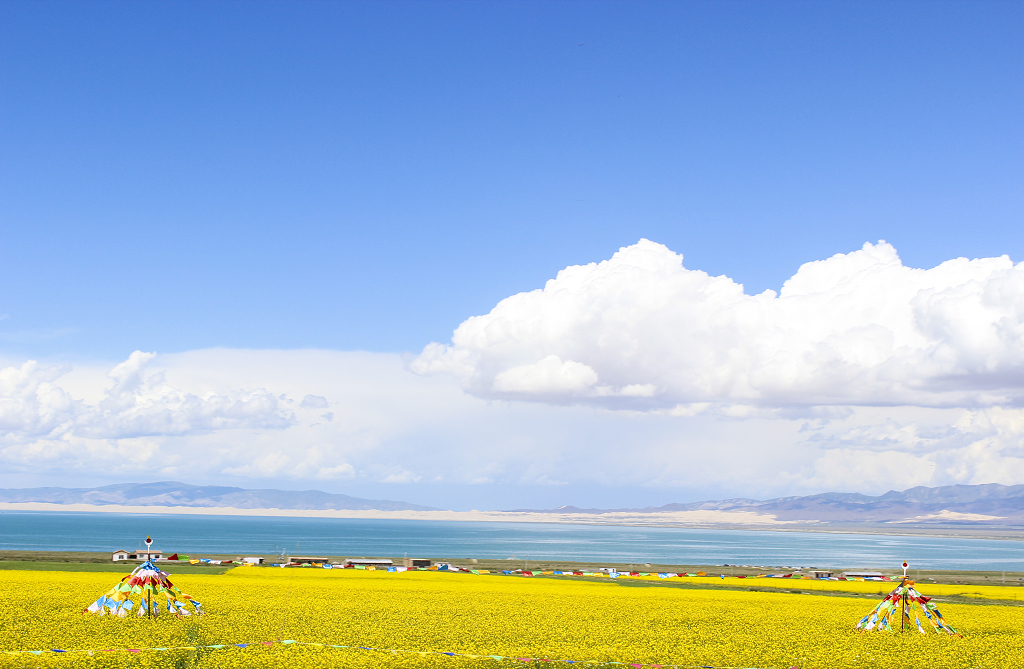 青海湖夏日风景