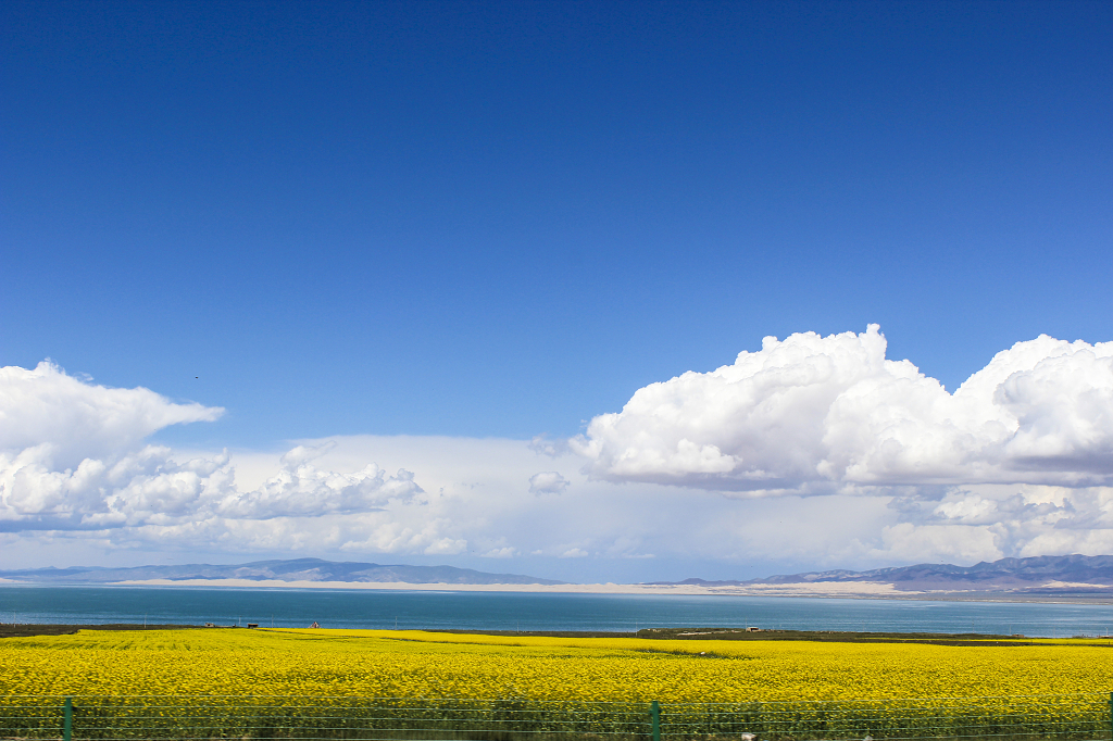 青海湖夏日风景